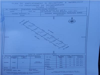 Vanzare parcele teren, Branesti Ilfov, 500mp, deschidere 18ml, gaze, canalizare, electrictate, drum acces public , strada de 9ml