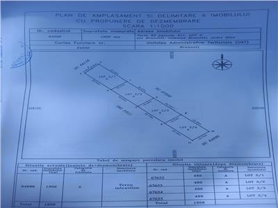 Vanzare parcele teren, Branesti Ilfov, 500mp, deschidere 18ml, gaze, canalizare, electrictate, drum acces public , strada de 9ml