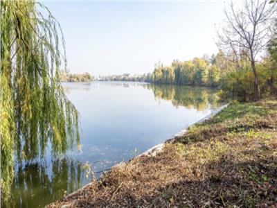 Vanzare vila cu piscina | Damaroaia  Straulesti | teren 2000 mp | deschidere la lac