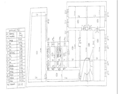 Închiriere vila D+P+1+M renovata 2018 | Universitate  Batistei |