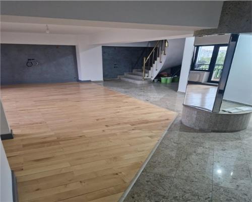 Apartament duplex Bd Unirii, 160mp utili, 3 terase, renovat premium